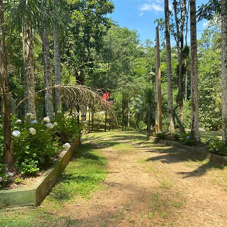 Chale Em Meio A Natureza! Guabiruba エクステリア 写真