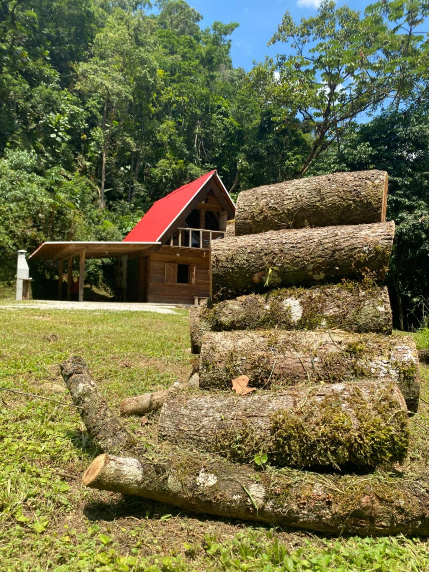 Chale Em Meio A Natureza! Guabiruba エクステリア 写真