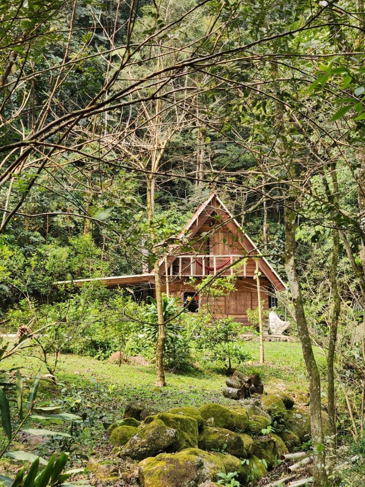 Chale Em Meio A Natureza! Guabiruba エクステリア 写真